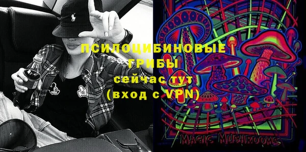твердый Кукмор