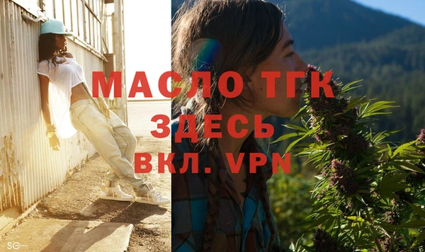 молекула духа Грязовец